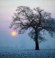 Mist, geschlossene Wolkendecke Mist, geschlossene Wolkendecke